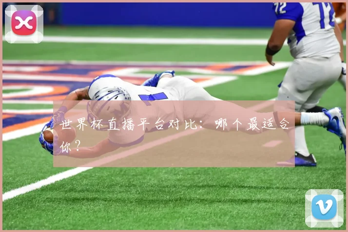世界杯直播平台对比：哪个最适合你？