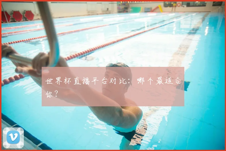 世界杯直播平台对比:哪个最适合你?