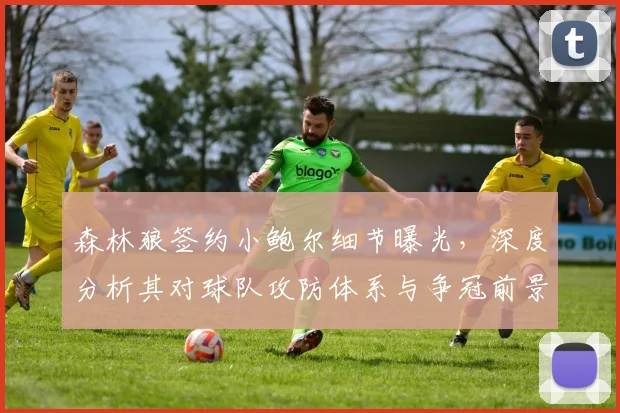 森林狼签约小鲍尔细节曝光,深度分析其对球队攻防体系与争冠前景的实际影响